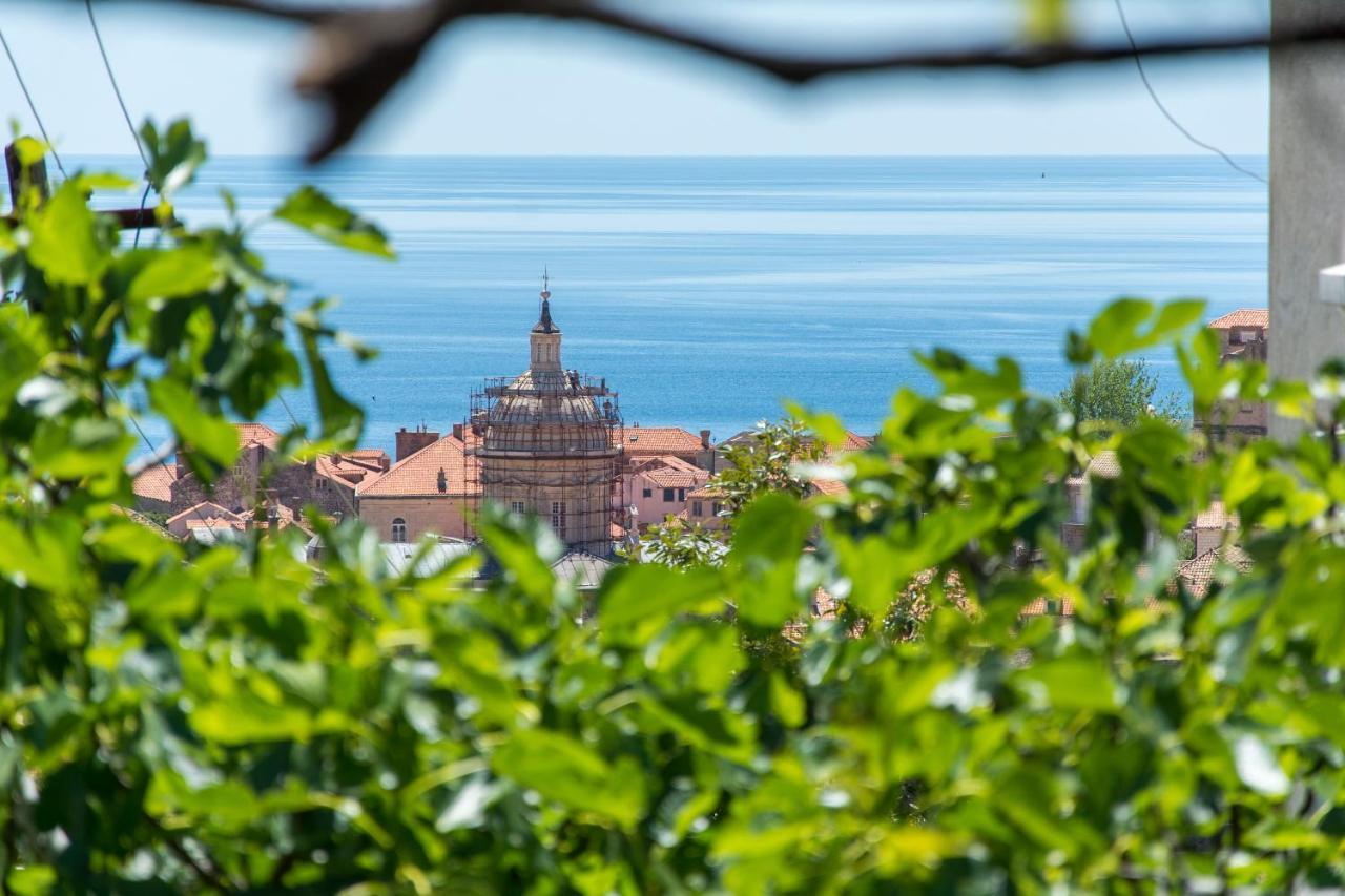 Milka-Sea View Apartment In Center Dubrovnik Exterior foto